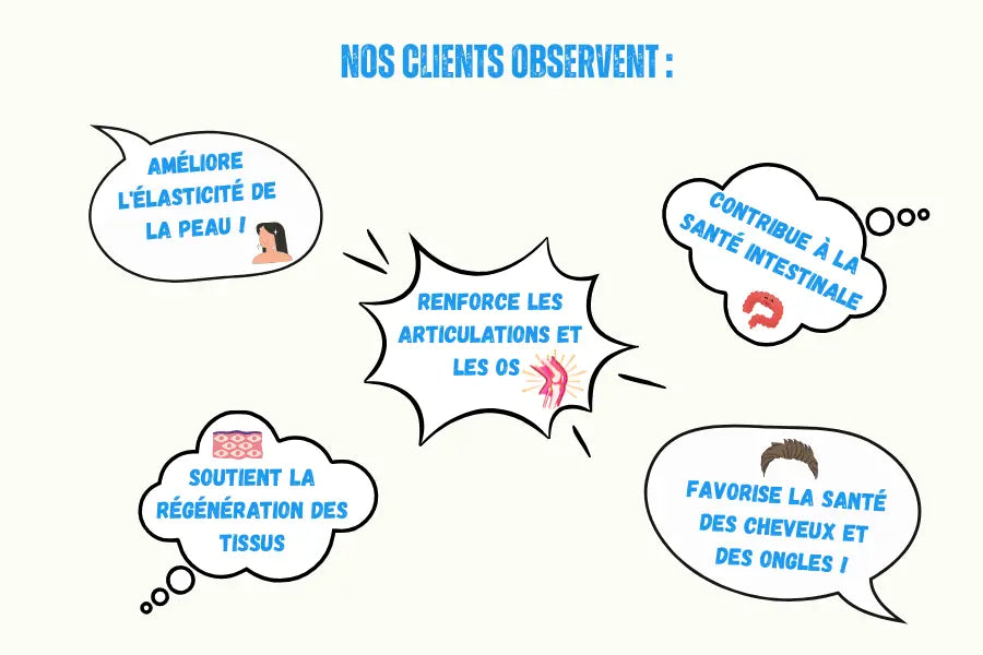 Illustration présentant plusieurs avis clients sur les compléments alimentaire collagène marin de la marque voie du milieu