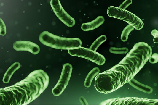 Probiotiques : à quoi servent ils ?