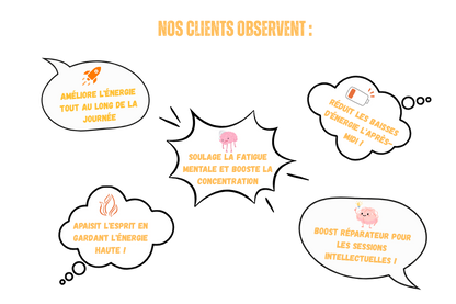 Illustration présentant plusieurs avis clients sur les compléments alimentaire Booster énergie de la marque voie du milieu