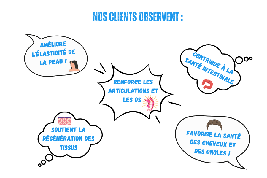 Illustration présentant plusieurs avis clients sur les compléments alimentaire collagène marin de la marque voie du milieu