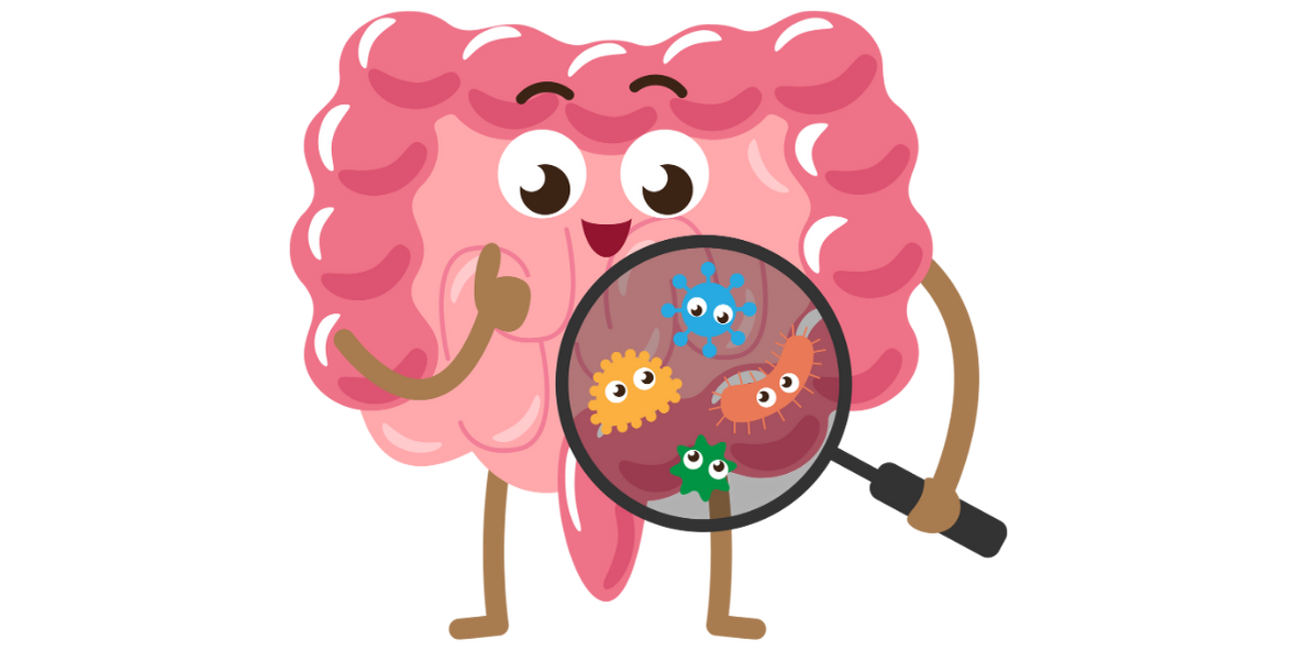 Icône d'un intestin qui regarde des bactéries de sa flore intestinale